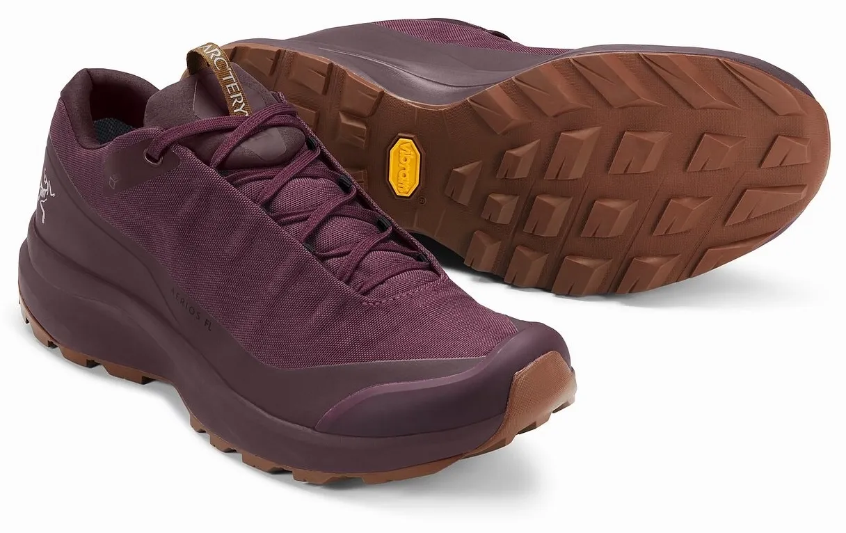 Wandelschoen Arc'teryx Men Aerios FL GTX Rhapsody Caribou